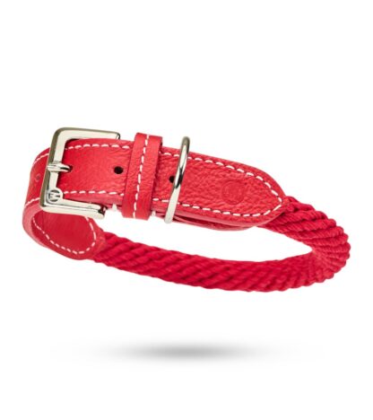 MALUCCHI Halsband Trekker Rot
