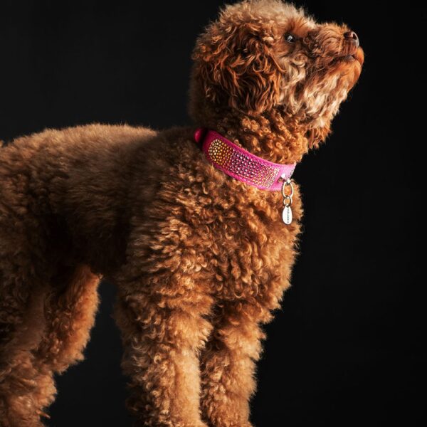 MALUCCHI Halband Volcano Jewel Pink