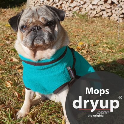 Actionfactory Hundebademantel für Mops und Co Petrol – Bild 3
