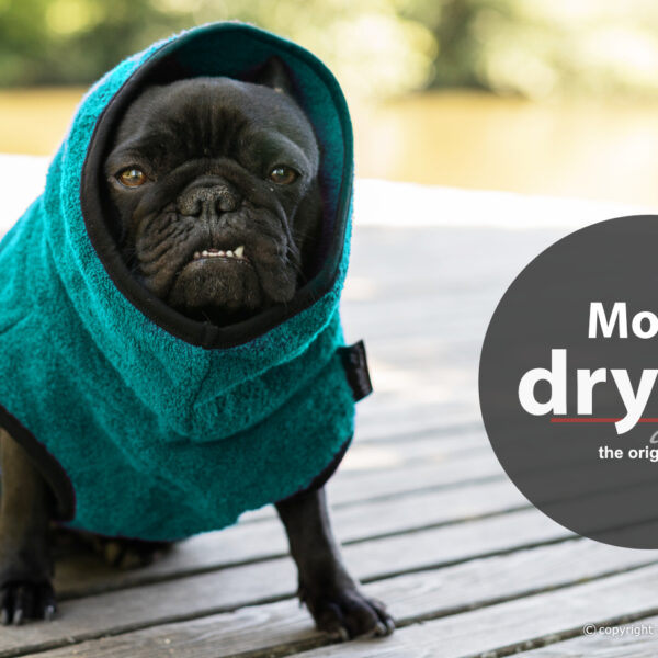 Actionfactory Hundebademantel für Mops und Co Petrol