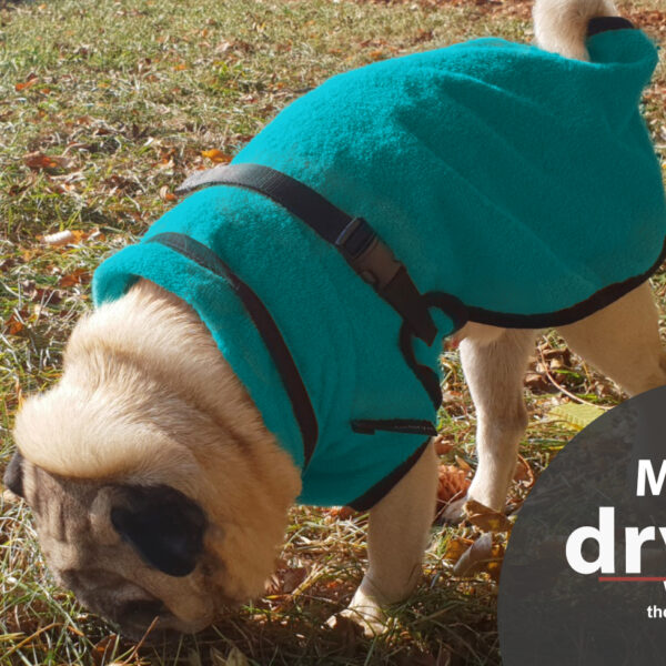 Actionfactory Hundebademantel für Mops und Co Petrol