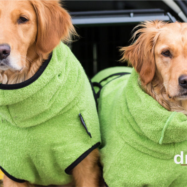 Actionfactory Hundebademantel Kiwi Gr. S