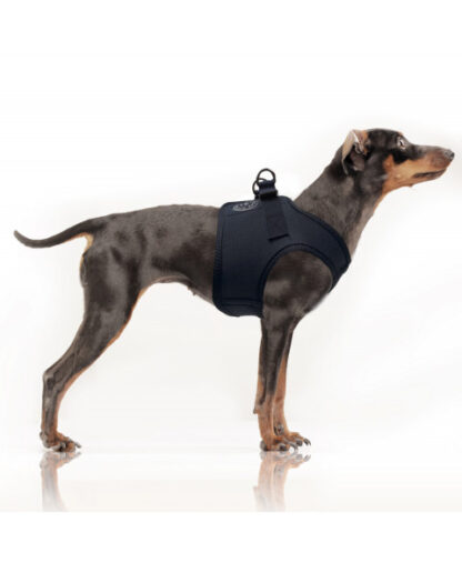 Milk & Pepper Harness Erwan Navy – Bild 2