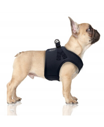 Milk & Pepper Harness Erwan Navy – Bild 3