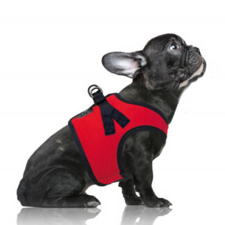 Milk & Pepper Harness Erwan Red