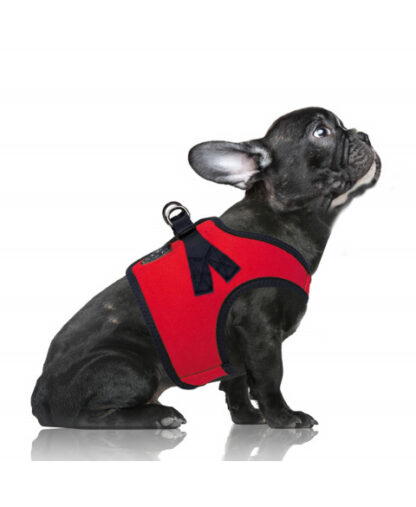 Milk & Pepper Harness Erwan Red – Bild 2
