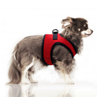 Milk & Pepper Harness Erwan Red