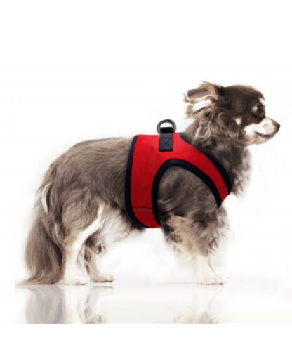Milk & Pepper Harness Erwan Red – Bild 3