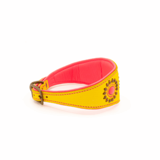 DWAM Windhundhalsband Jessy