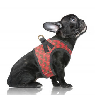 Milk & Pepper Harness Layana