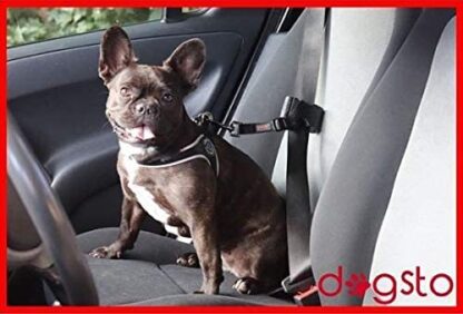 DOGSTO Anschnallgurt fürs Auto – Bild 7