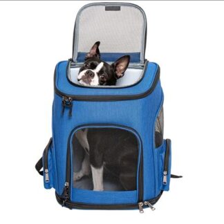 Chiara Hunderucksack Age Blau