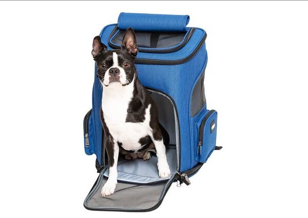 Chiara Hunderucksack Age Blau