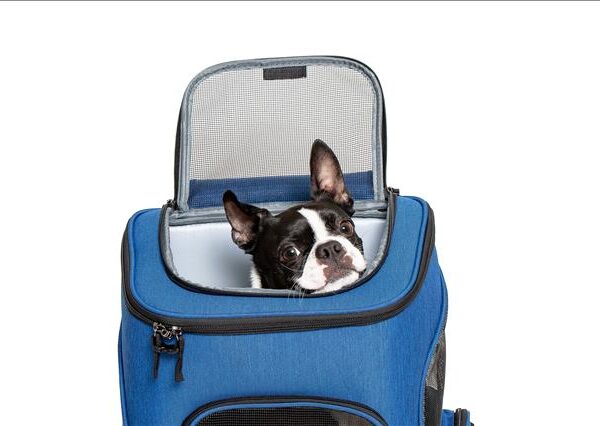 Chiara Hunderucksack Age Blau