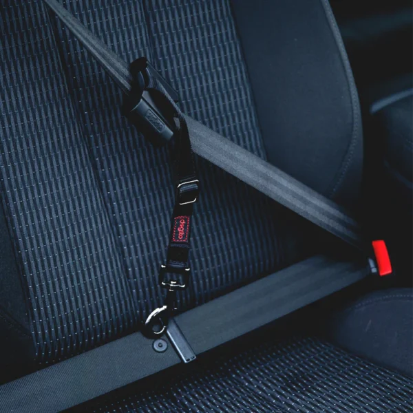 DOGSTO Anschnallgurt fürs Auto