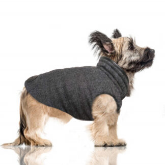 MILK&PEPPER Hundewendemantel GRAHAM
