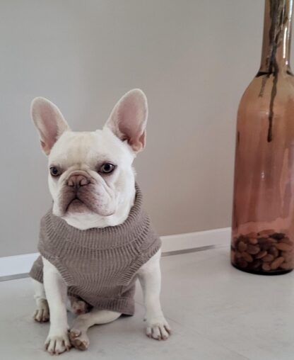 Milk & Pepper Strickpullover Helsinki Rouge Bulldogge – Bild 2