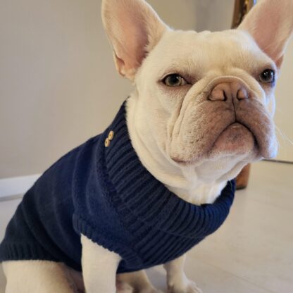 Milk & Pepper Strickpullover Donovan Creme Bulldogge – Bild 2