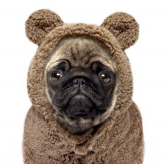 Milk & Pepper Sweat AYDEN Camel Bulldogge
