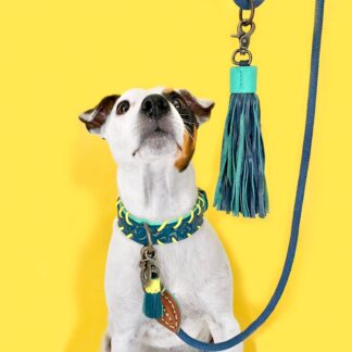 DWAM Halsband Jack