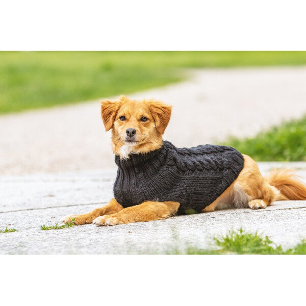 CHIARA Hundepullover Schwarz Gr. L