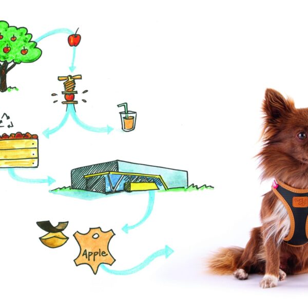 CURLI Weste Harness Vegan Apple Leather Schwarz