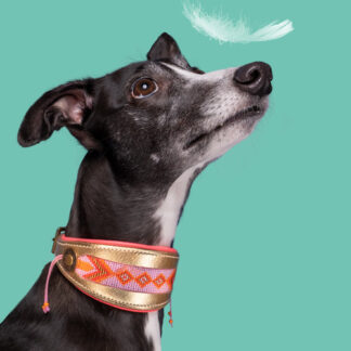 DWAM Windhundhalsband Sweet Mae