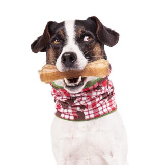 DUFTMARKE DoggyLoop Rudi
