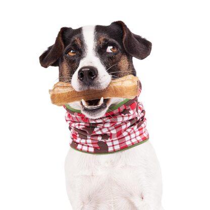 DUFTMARKE DoggyLoop Rudi – Bild 3