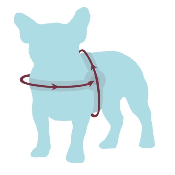 MALUCCHI Geschirr Gun