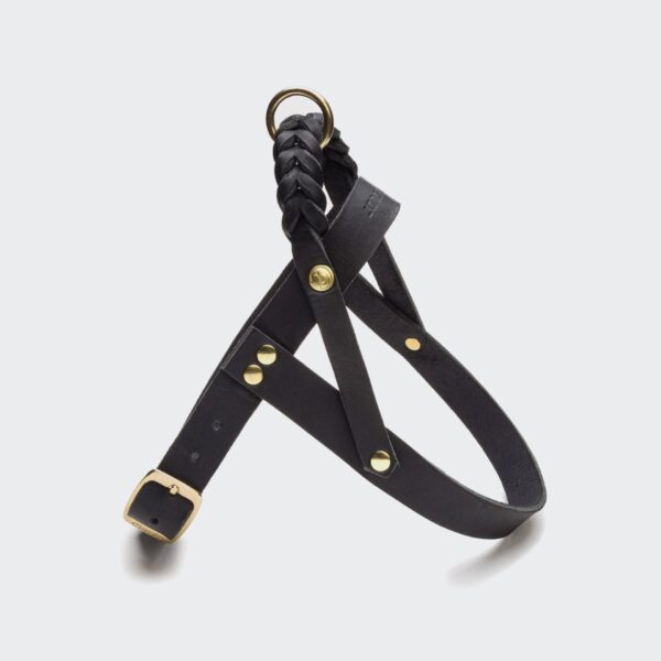 CLOUD7 Halsband Central Park Schwarz Gold – Bild 3
