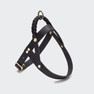 CLOUD7 Hundegeschirr Central Park Black gold