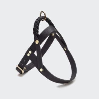 CLOUD7 Hundegeschirr Central Park Black gold