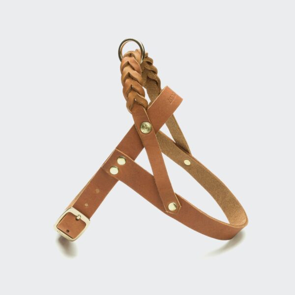 CLOUD7 Hundegeschirr Central Park Camel Gold – Bild 3