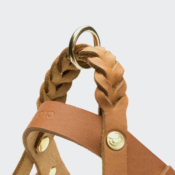 CLOUD7 Hundegeschirr Central Park Camel Gold – Bild 2