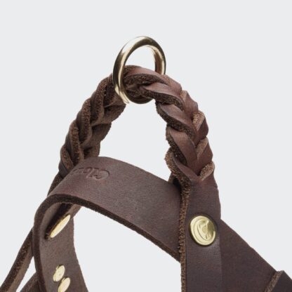 CLOUD7 Hundegeschirr Central Park SaddleBrown Gold – Bild 2