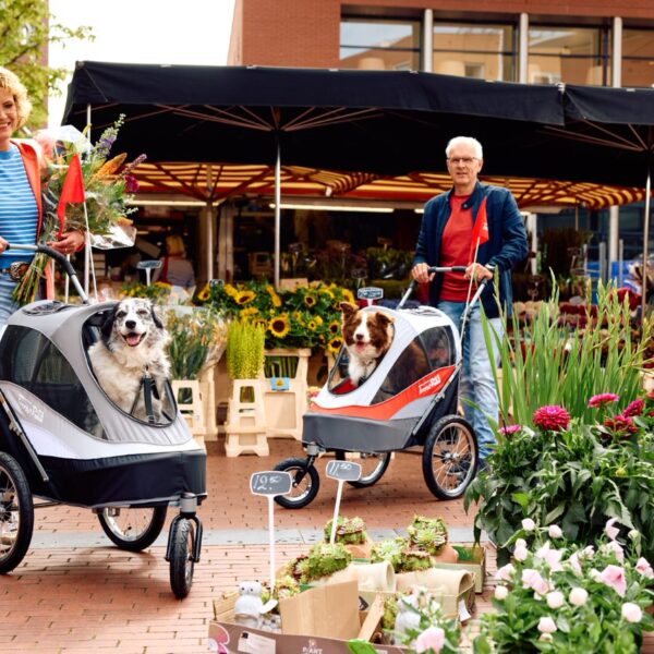 InnoPet®Fahrradanhänger „Sporty Trailer“  schwarz/grau