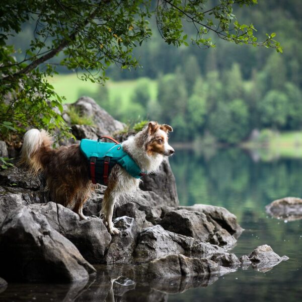 Hurtta Schwimmweste „Life Savior ECO“ NEW Orange