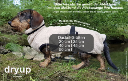 Actionfactory Hundebademantel für Dackel – Bild 2