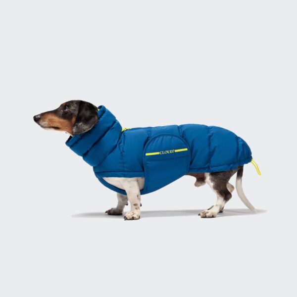 CLOUD7 Hundemantel Alaska Dackel Blue Gr. 5 – Bild 2