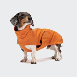 CLOUD7 Hunderegenmantel Dackel Dublin Orange