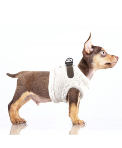 Milk & Pepper Harness Joonas Blanc – Bild 2