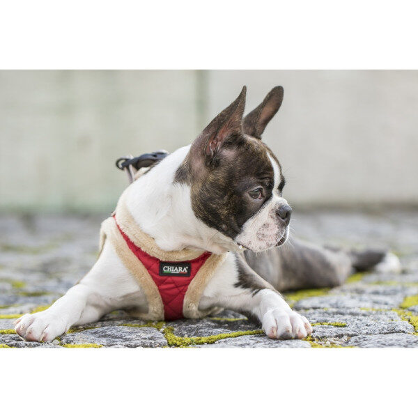 CHIARA Wintergeschirr hellblau