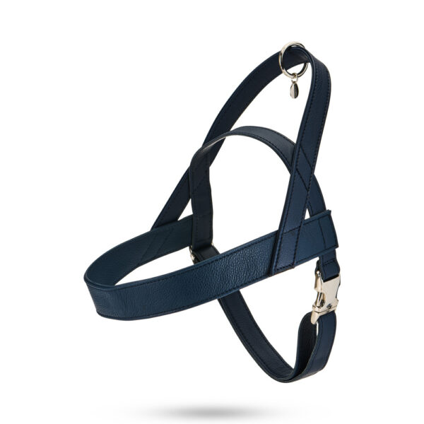 MALUCCHI Hundeleine Movie Blau