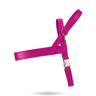 Malucchi Geschirr Movie XXL Fuchsia