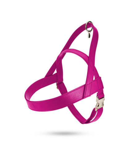 Malucchi Geschirr Movie XXL Fuchsia