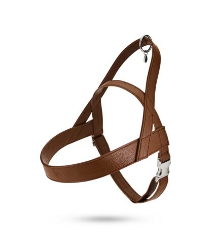 Malucchi Halsband Movie Nocciola – Bild 2