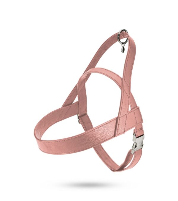 MALUCCHI Hundeleine Movie Nylon Pure Pink – Bild 4