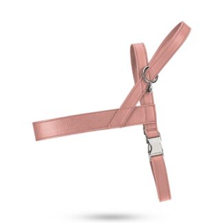 Malucchi Geschirr Movie XXL Pure Pink