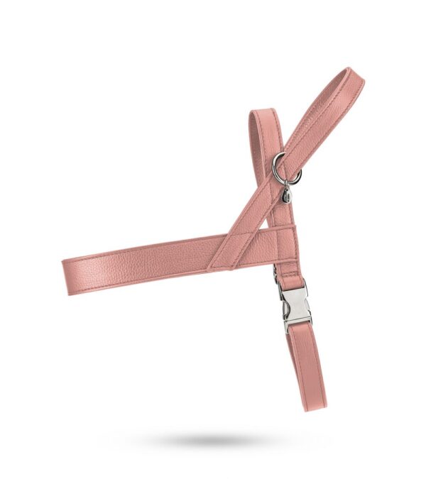 Malucchi Geschirr Movie XXL Pure Pink – Bild 2